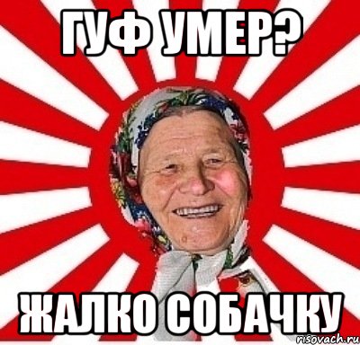 Гуф умер? жалко собачку, Мем  бабуля