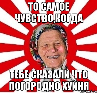 То самое чувство,когда тебе сказали что Погородно хуйня, Мем  бабуля