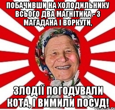 Побачивши на холодильнику всього два магнітика - з Магадана і Воркути, злодії погодували кота, і вимили посуд!, Мем  бабуля