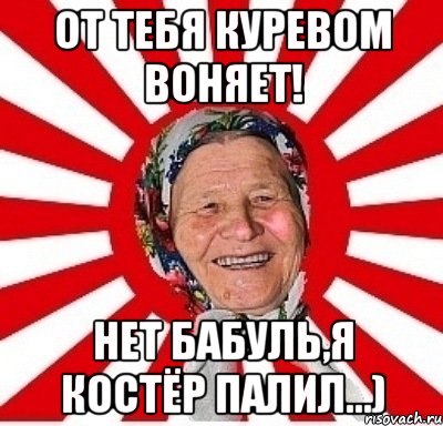 от тебя куревом воняет! нет бабуль,я костёр палил...), Мем  бабуля