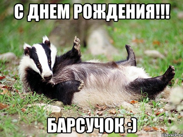 С ДНЕМ РОЖДЕНИЯ!!! БАРСУЧОК :), Мем барсук