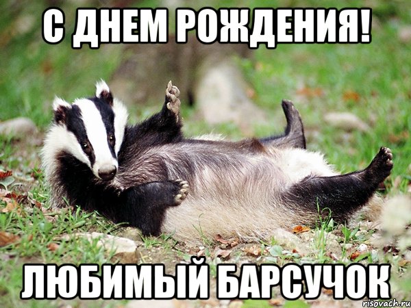 С ДНЕМ РОЖДЕНИЯ! ЛЮБИМЫЙ БАРСУЧОК, Мем барсук