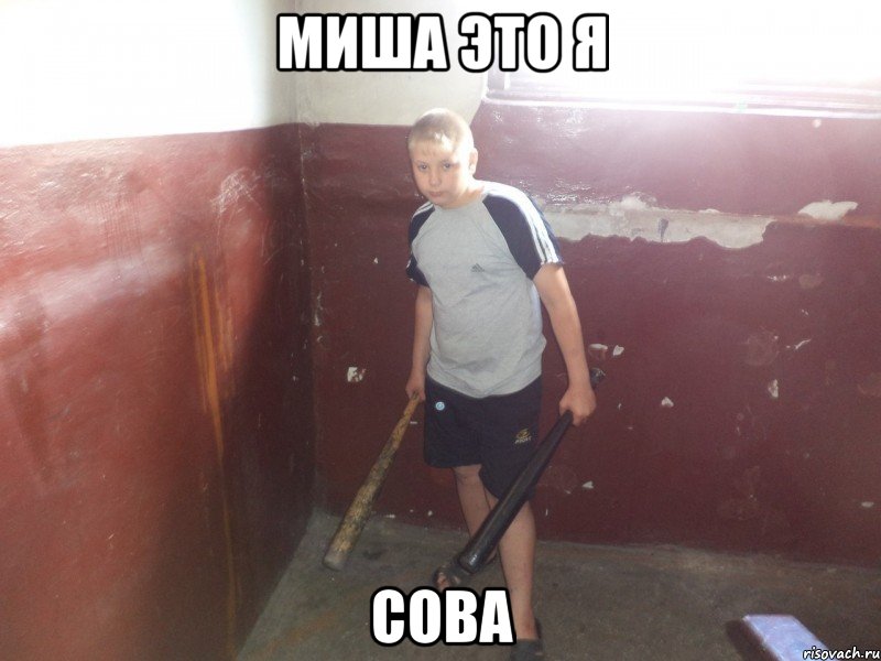 Миша это я СОВА, Мем БАЮС