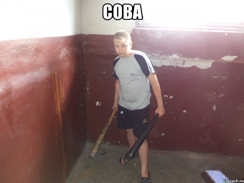 Сова , Мем БАЮС
