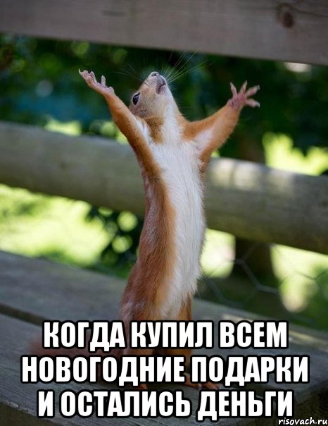  Когда купил всем новогодние подарки и остались деньги, Мем    белка молится