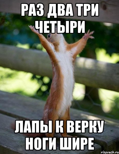 РАЗ ДВА ТРИ ЧЕТЫРИ ЛАПЫ К ВЕРКУ НОГИ ШИРЕ, Мем    белка молится