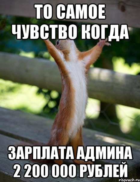 то самое чувство когда зарплата админа 2 200 000 рублей, Мем    белка молится