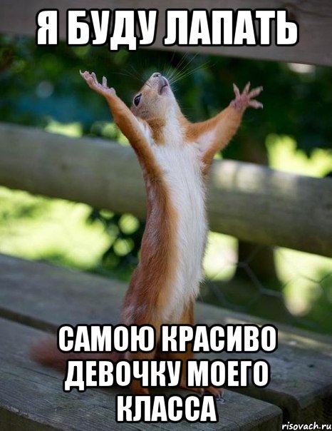 Я буду лапать Самою красиво девочку моего класса, Мем    белка молится