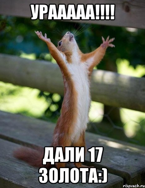 Урааааа!!!! Дали 17 золота:), Мем    белка молится