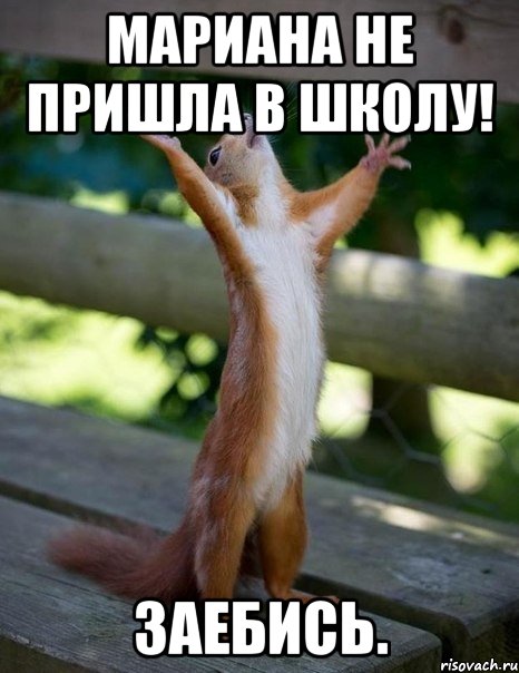 Мариана не пришла в школу! Заебись., Мем    белка молится