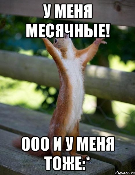 У меня месячные! ооо и у меня тоже:*, Мем    белка молится