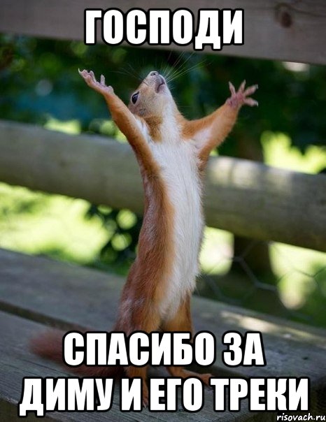 Господи Спасибо за Диму и его треки, Мем    белка молится