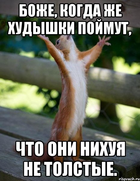 Боже, когда же худышки поймут, что они нихуя не толстые., Мем    белка молится