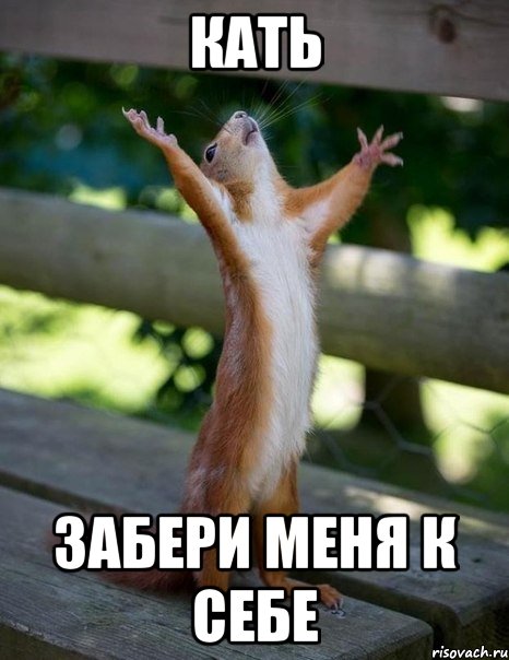 Кать Забери меня к себе, Мем    белка молится