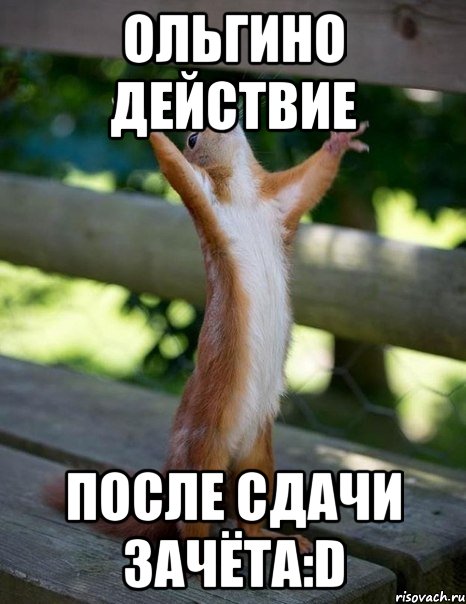 ОЛЬГИНО ДЕЙСТВИЕ ПОСЛЕ СДАЧИ ЗАЧЁТА:D, Мем    белка молится