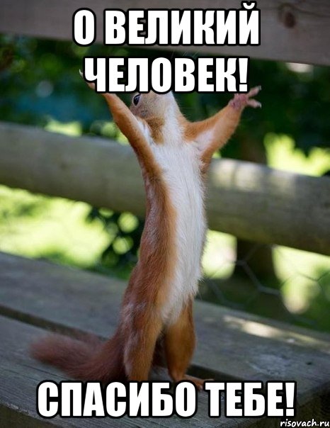 О великий человек! Спасибо тебе!, Мем    белка молится