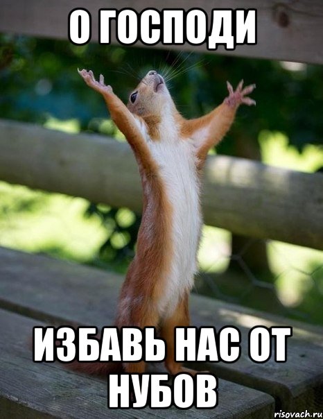 о господи избавь нас от нубов, Мем    белка молится
