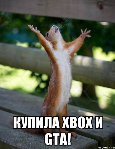  КУПИЛА XBOX И GTA!, Мем    белка молится
