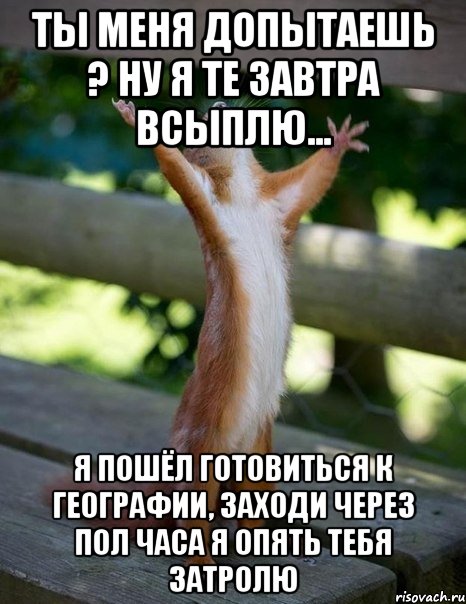 ты меня допытаешь ? ну я те завтра всыплю... я пошёл готовиться к географии, заходи через пол часа я опять тебя затролю, Мем    белка молится