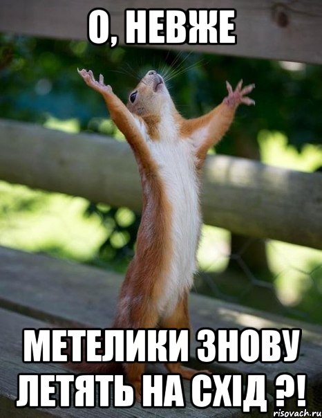 о, невже метелики знову летять на схід ?!, Мем    белка молится