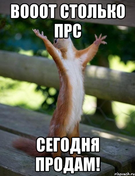 Вооот столько ПРС сегодня продам!, Мем    белка молится