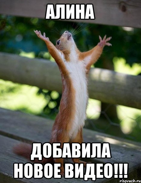 Алина добавила новое видео!!!, Мем    белка молится