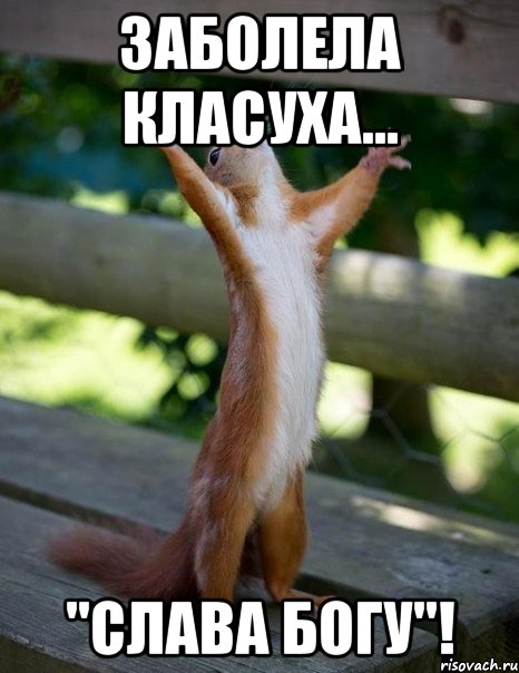Заболела класуха... "Слава богу"!, Мем    белка молится
