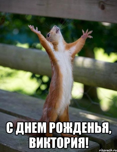  С днем рожденья, виктория!, Мем    белка молится