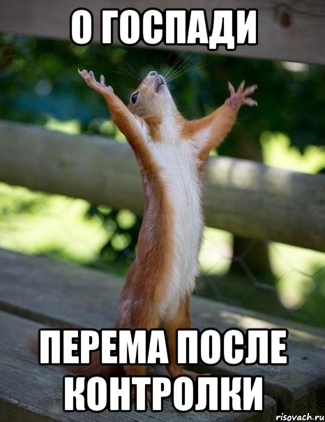 О госпади Перема после контролки, Мем    белка молится