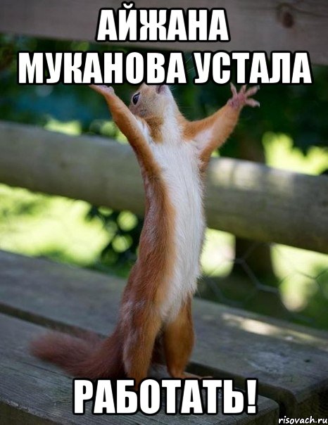 Айжана муканова устала Работать!, Мем    белка молится