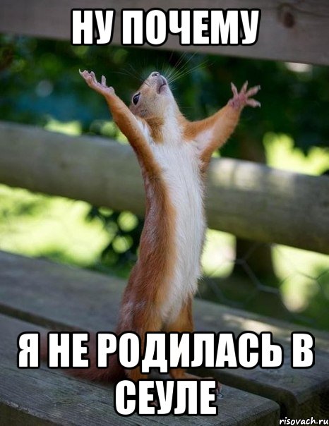 Ну почему я не родилась в Сеуле, Мем    белка молится