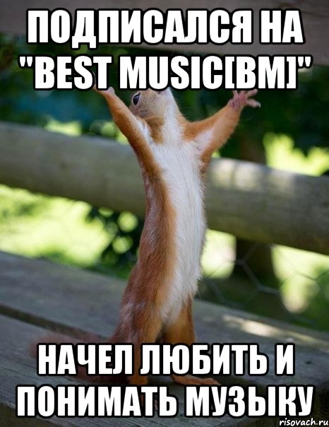 подписался на "Best Music[bm]" начел любить и понимать музыку, Мем    белка молится