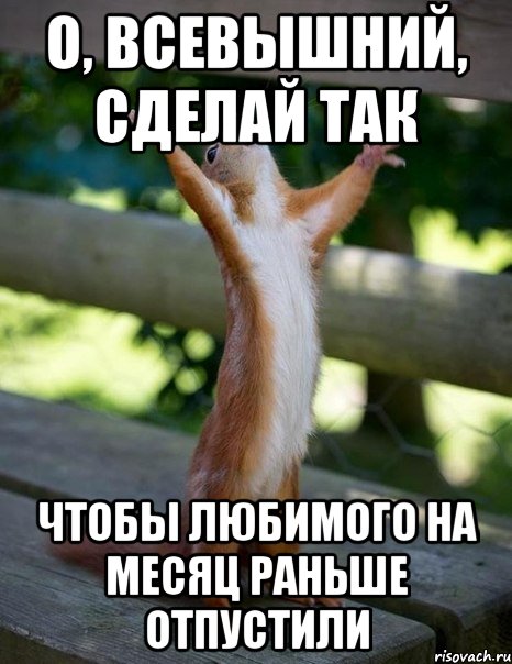 О, Всевышний, сделай так Чтобы любимого на месяц раньше отпустили, Мем    белка молится
