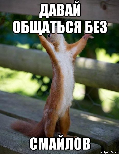 давай общаться без смайлов, Мем    белка молится