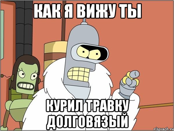 Как я вижу ты Курил травку долговязый, Мем Бендер