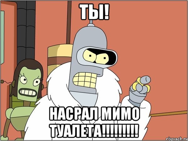 ТЫ! НАСРАЛ МИМО ТУАЛЕТА!!!!!!!!!, Мем Бендер