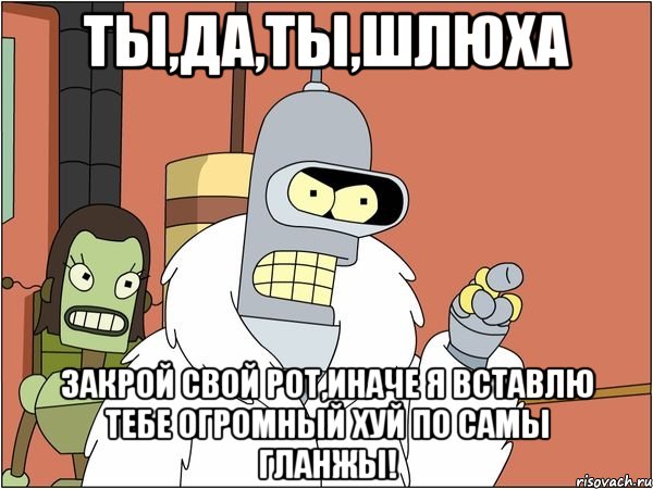 Ты,да,ты,шлюха закрой свой рот,иначе я вставлю тебе огромный хуй по самы гланжы!, Мем Бендер