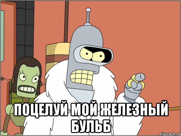  ПОЦЕЛУЙ МОЙ ЖЕЛЕЗНЫЙ БУЛЬБ, Мем Бендер