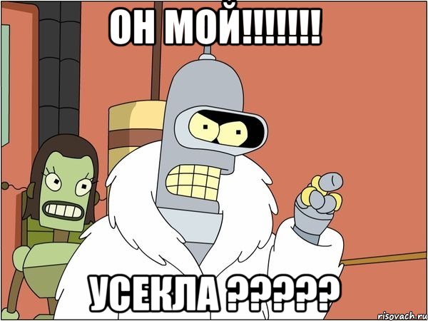 ОН МОЙ!!!!!!! УСЕКЛА ?????, Мем Бендер