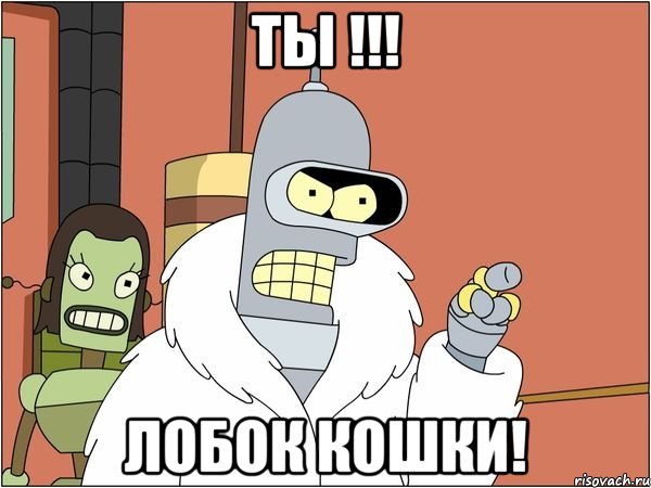 ТЫ !!! ЛОБОК КОШКИ!, Мем Бендер