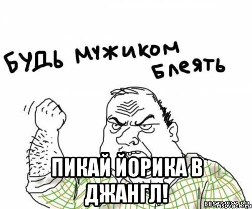  Пикай Йорика в джангл!, Мем блять