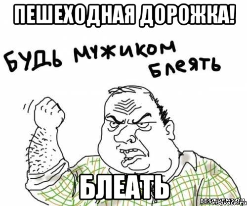 Пешеходная дорожка! Блеать, Мем блять