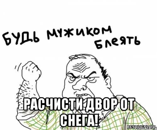  расчисти двор от снега!, Мем блять