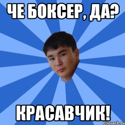 че боксер, да? Красавчик!