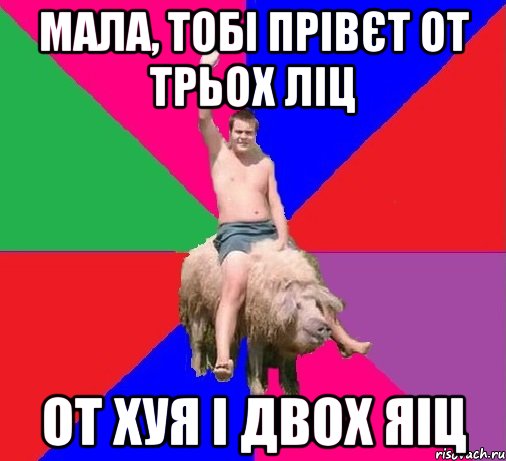 МАЛА, ТОБІ ПРІВЄТ ОТ ТРЬОХ ЛІЦ ОТ ХУЯ І ДВОХ ЯІЦ