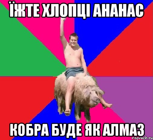 ЇЖТЕ ХЛОПЦІ АНАНАС КОБРА БУДЕ ЯК АЛМАЗ