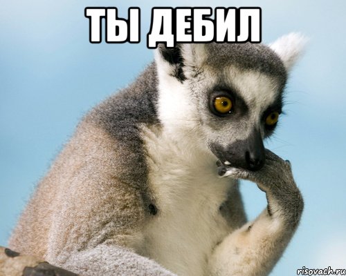 ты дебил 