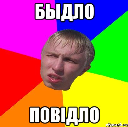 быдло повідло