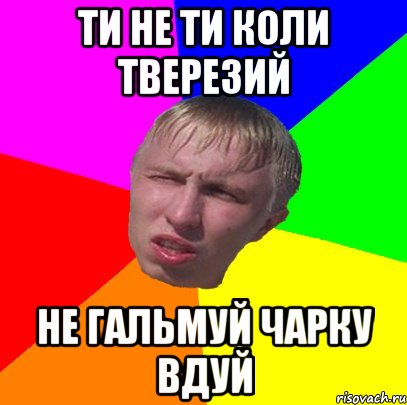 ти не ти коли тверезий не гальмуй чарку вдуй