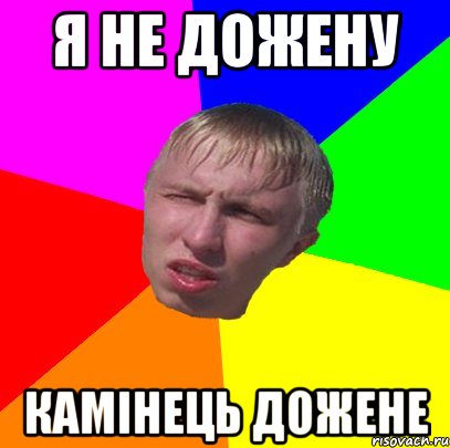я не дожену камінець дожене